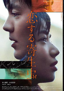 耀眼电视剧免费观看全集完整版